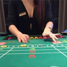 মোবাইলে 222bd bet টেনিস সময়সূচি পড়া